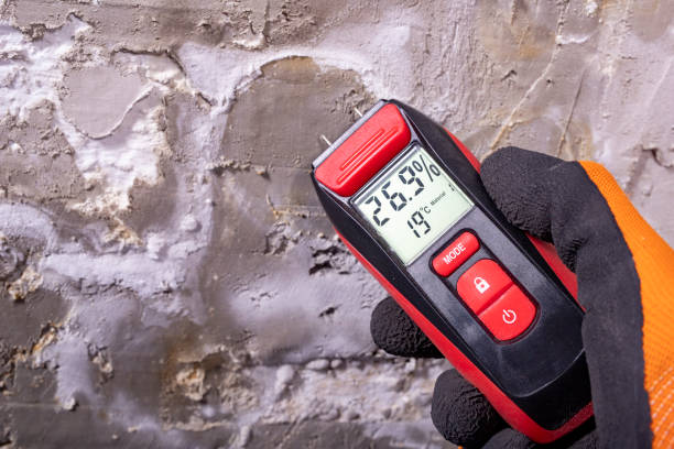 Best Mold Remediation  in Chaffee, MO